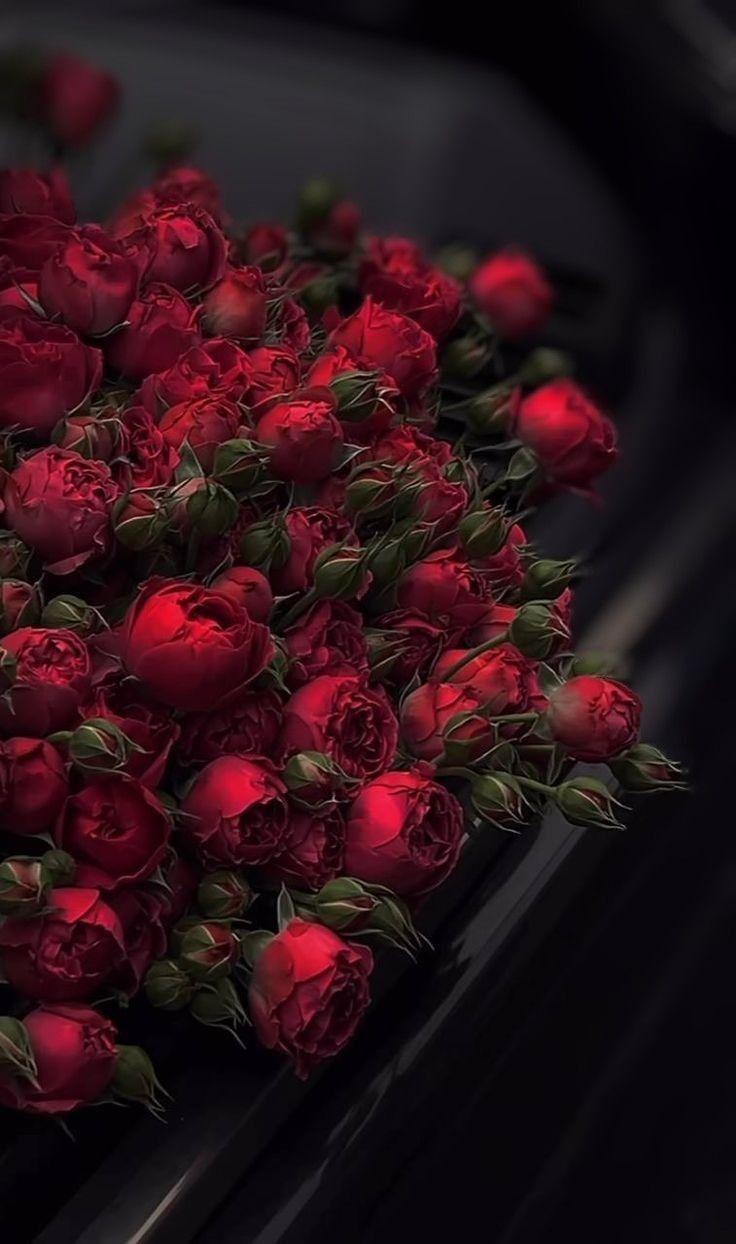 Corporate meeting room with precisely timed floral arrangements that maintain elegance throughout business hours